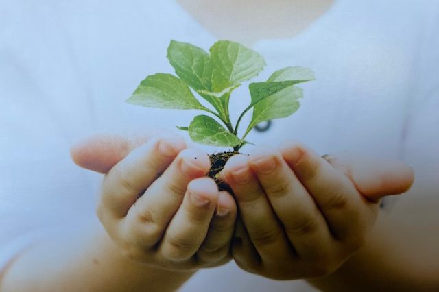 Gesundheitscoaching heißt Verantwortung übernehmen