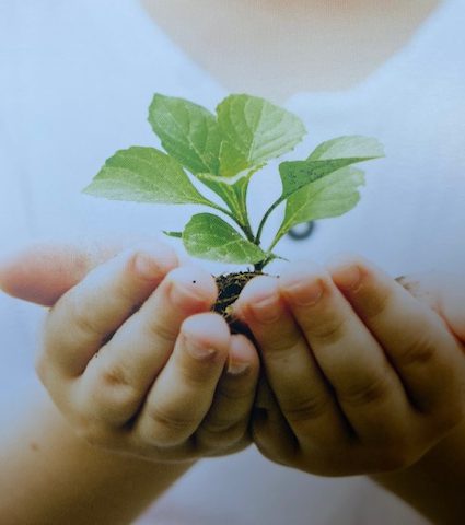 Verantwortung übernehmen mit Gesundheitscoaching